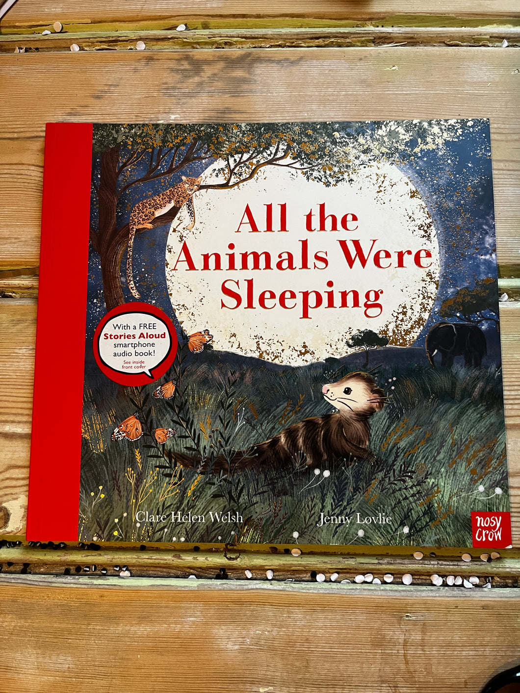 All the Animals Were Sleeping by Clare Helen Welsh