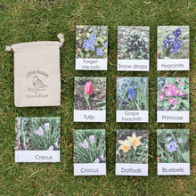 Load image into Gallery viewer, Spring Flowers Flashcards
