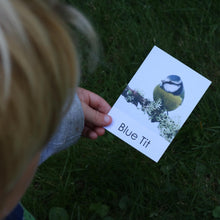 Load image into Gallery viewer, blue tit.JPG
