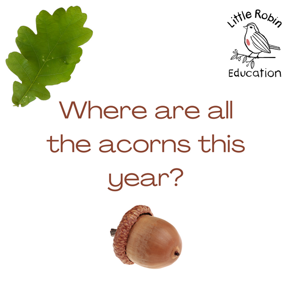 Where are all the acorns this year?