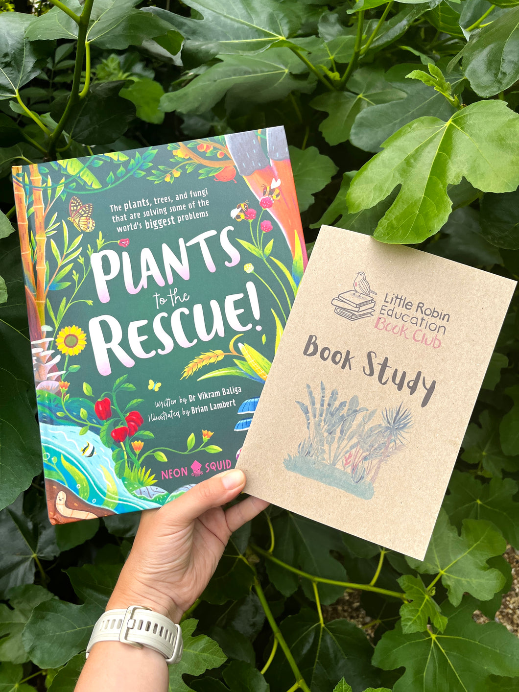 Age 8-16 Plants Activity Pack