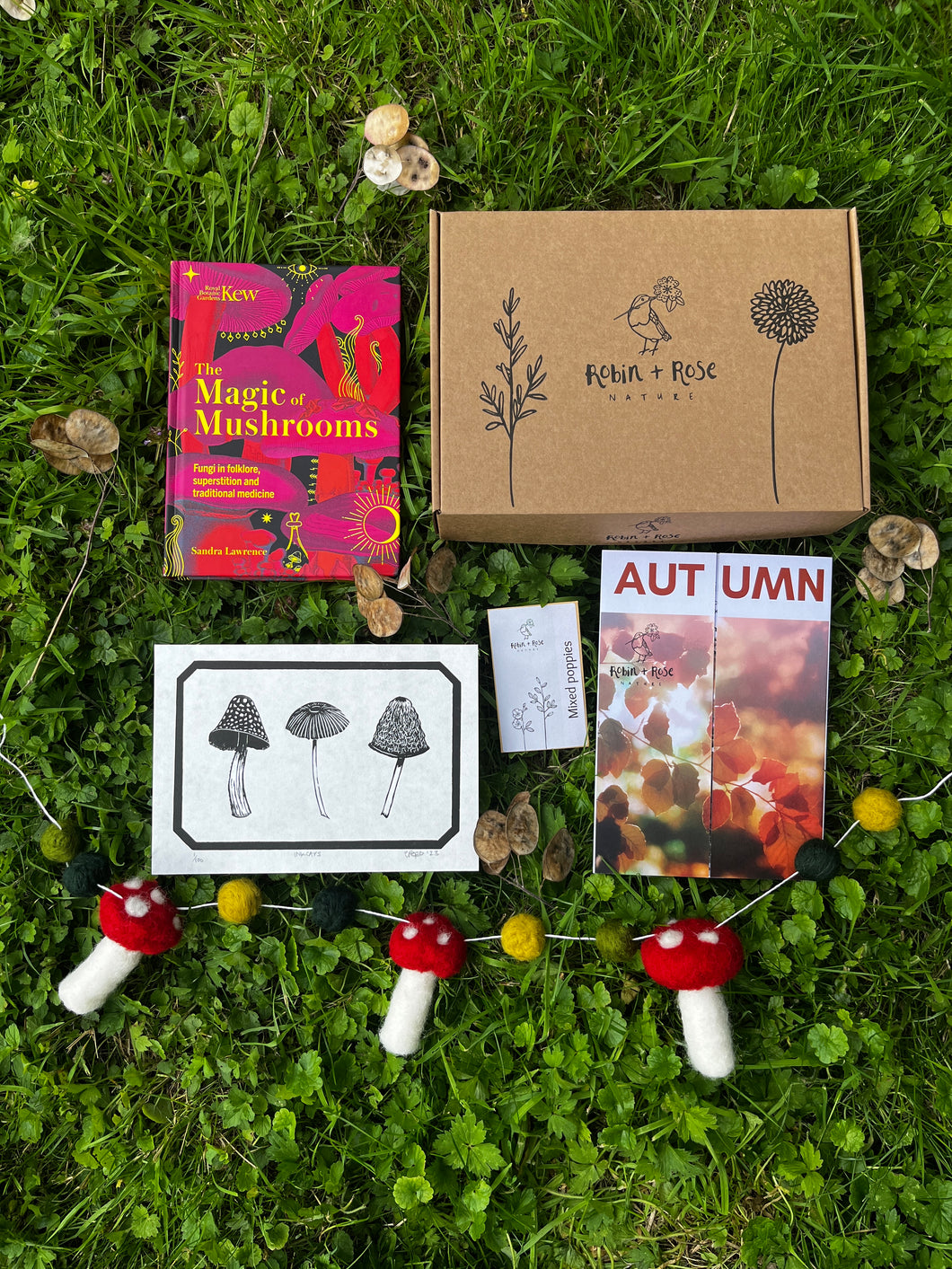 Autumn Mushroom Box