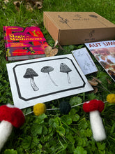 Load image into Gallery viewer, Autumn Mushroom Box

