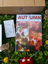 Load image into Gallery viewer, Autumn Mushroom Box
