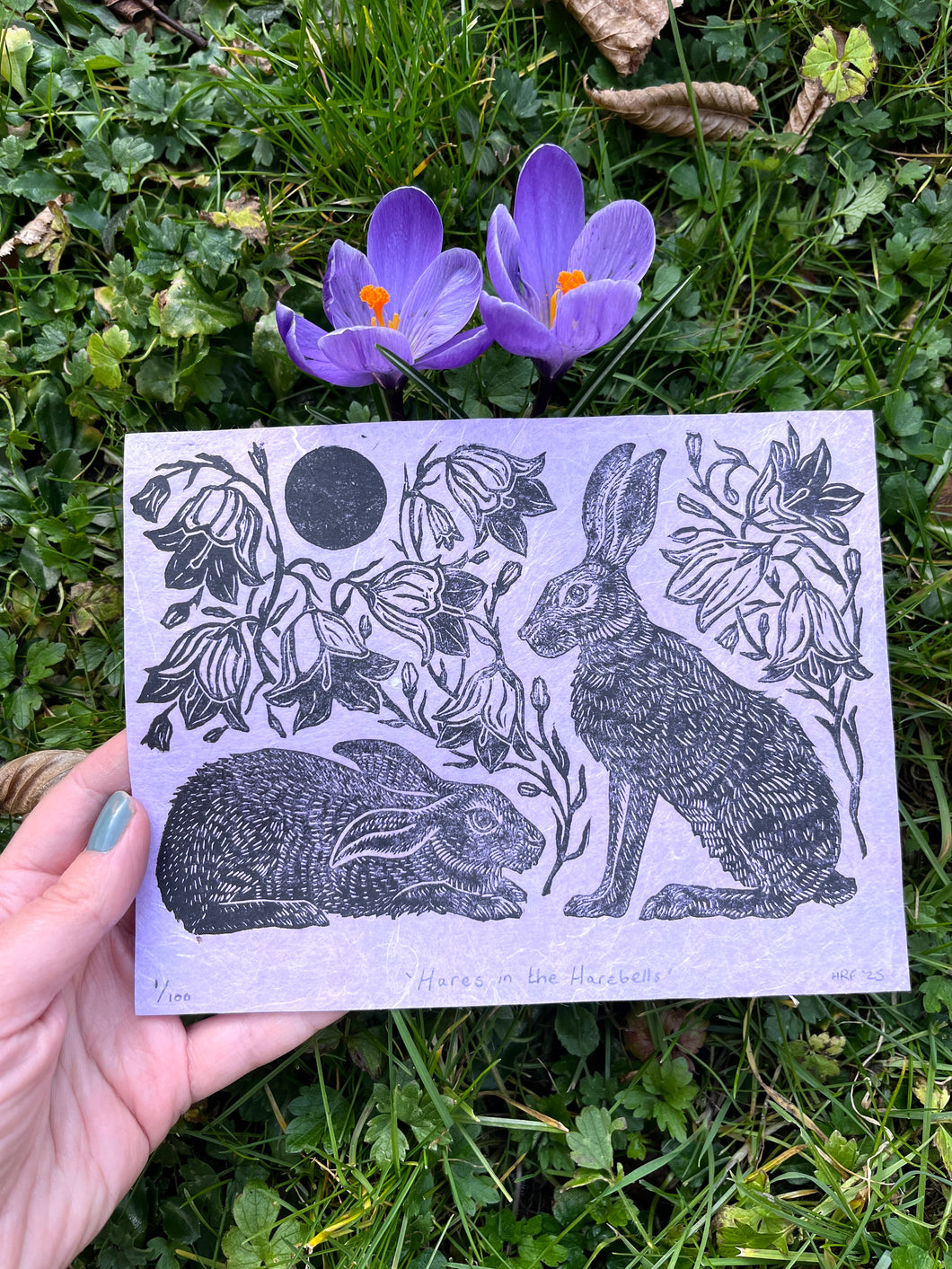 Hare in the Harebells Print