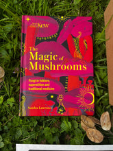 Load image into Gallery viewer, Autumn Mushroom Box
