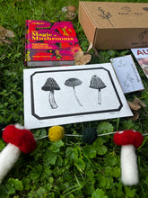 Load image into Gallery viewer, Autumn Mushroom Box
