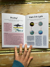 Load image into Gallery viewer, Age 3-7 Shark Activity Booklet
