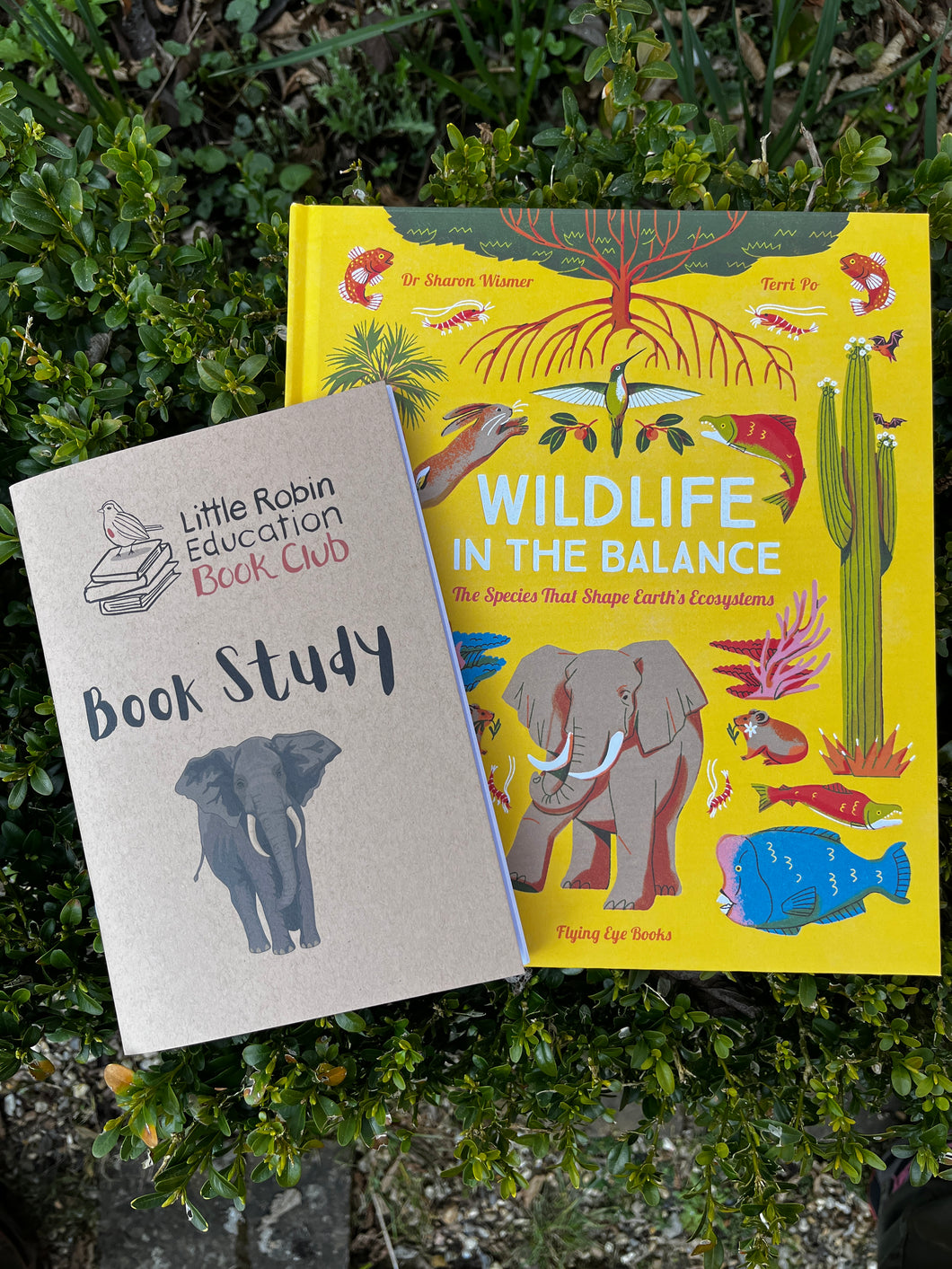 Age 8-16 Keystone Species Activity Pack