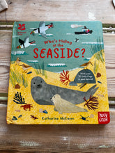 Load image into Gallery viewer, Seaside seconds books
