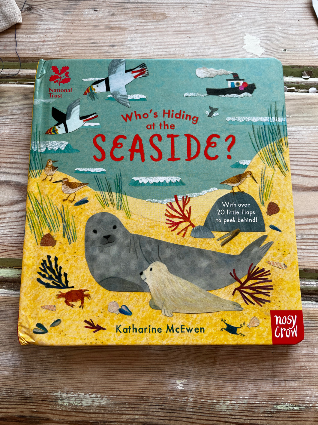 Seaside seconds books