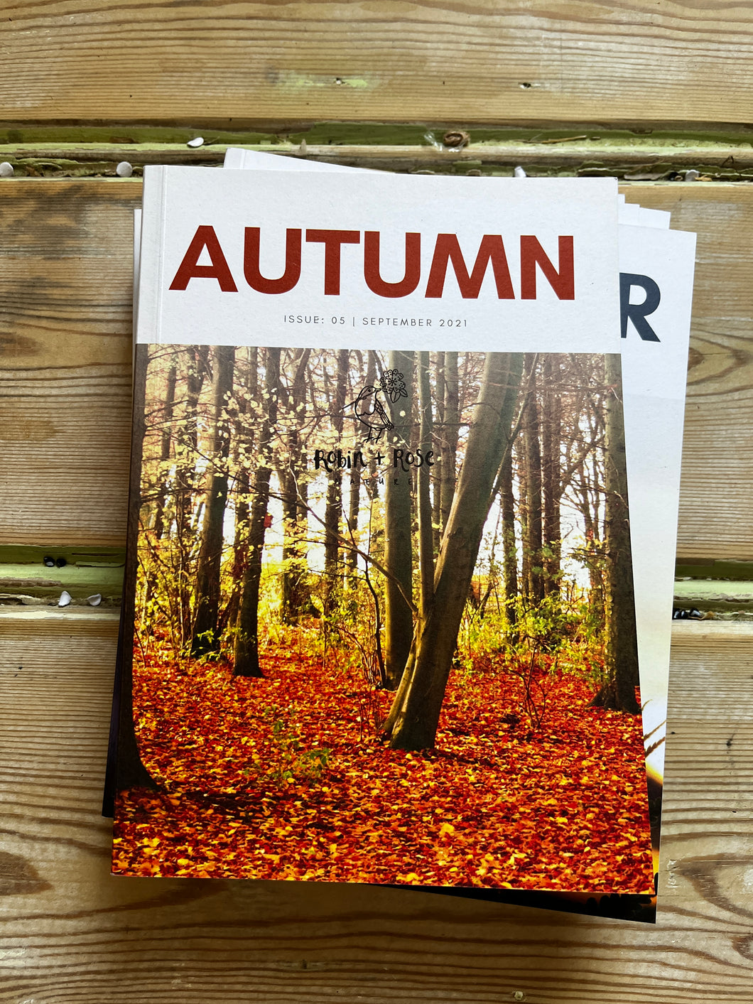 Autumn Zine