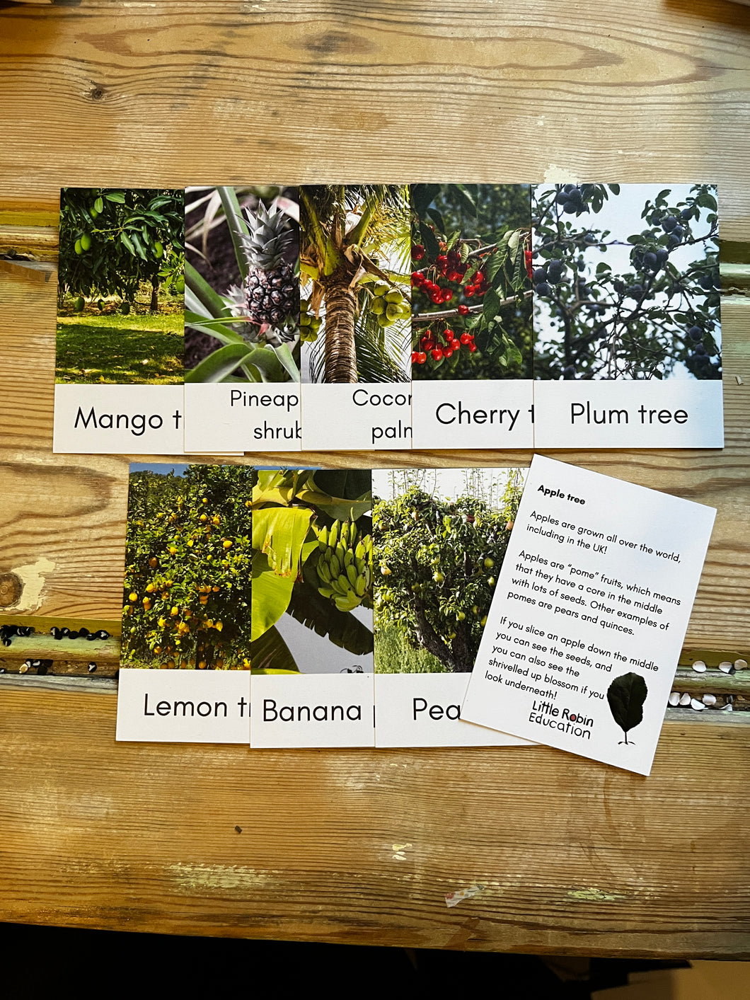Fruit Tree Fact Cards