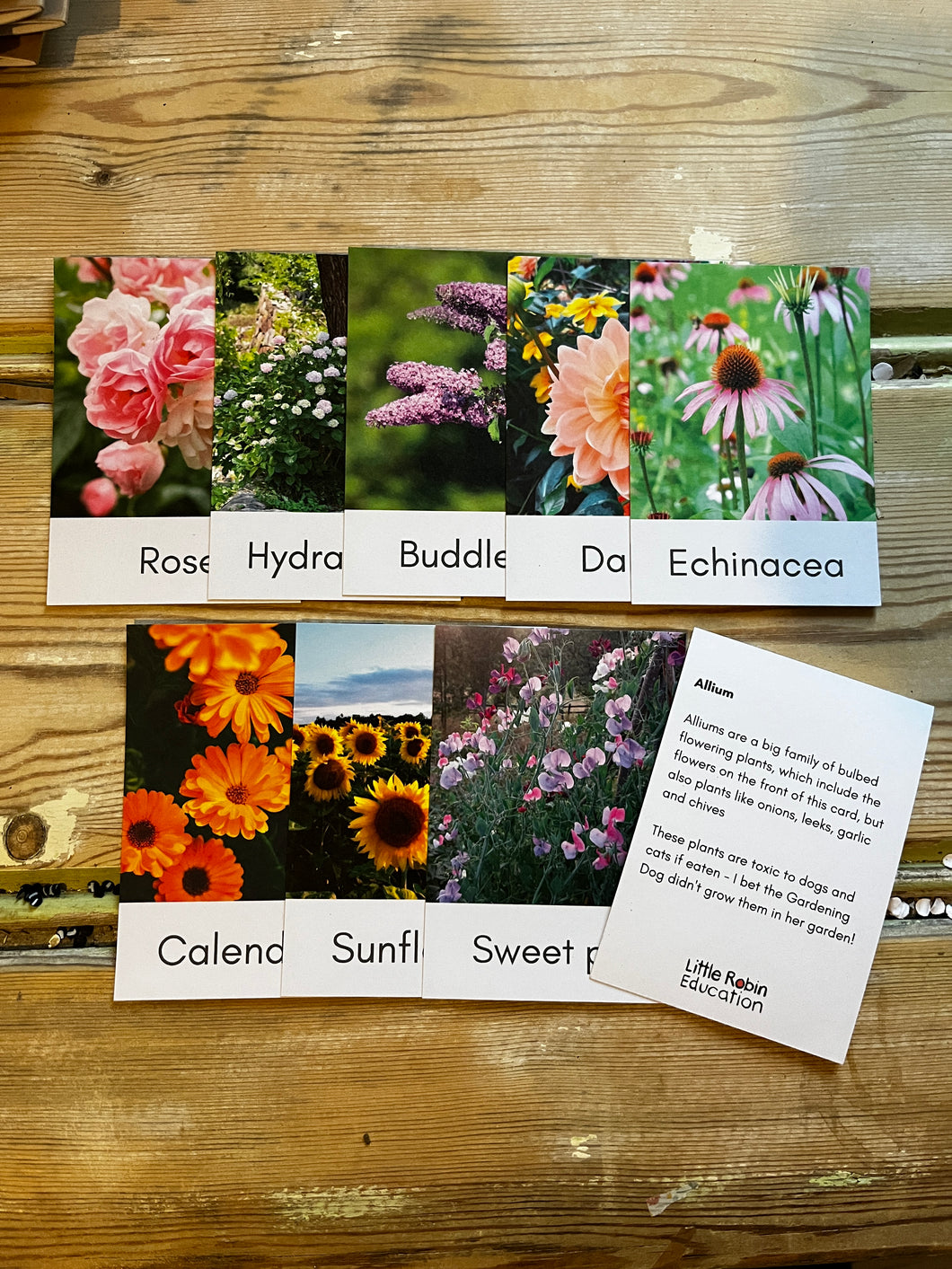 Garden Flower Fact Cards