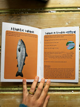 Load image into Gallery viewer, Age 8-16 Wildlife Crossings Book Study
