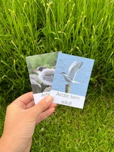 Load image into Gallery viewer, Migrating Animals Fact Cards
