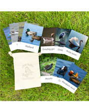 Load image into Gallery viewer, Waterfowl Fact Cards

