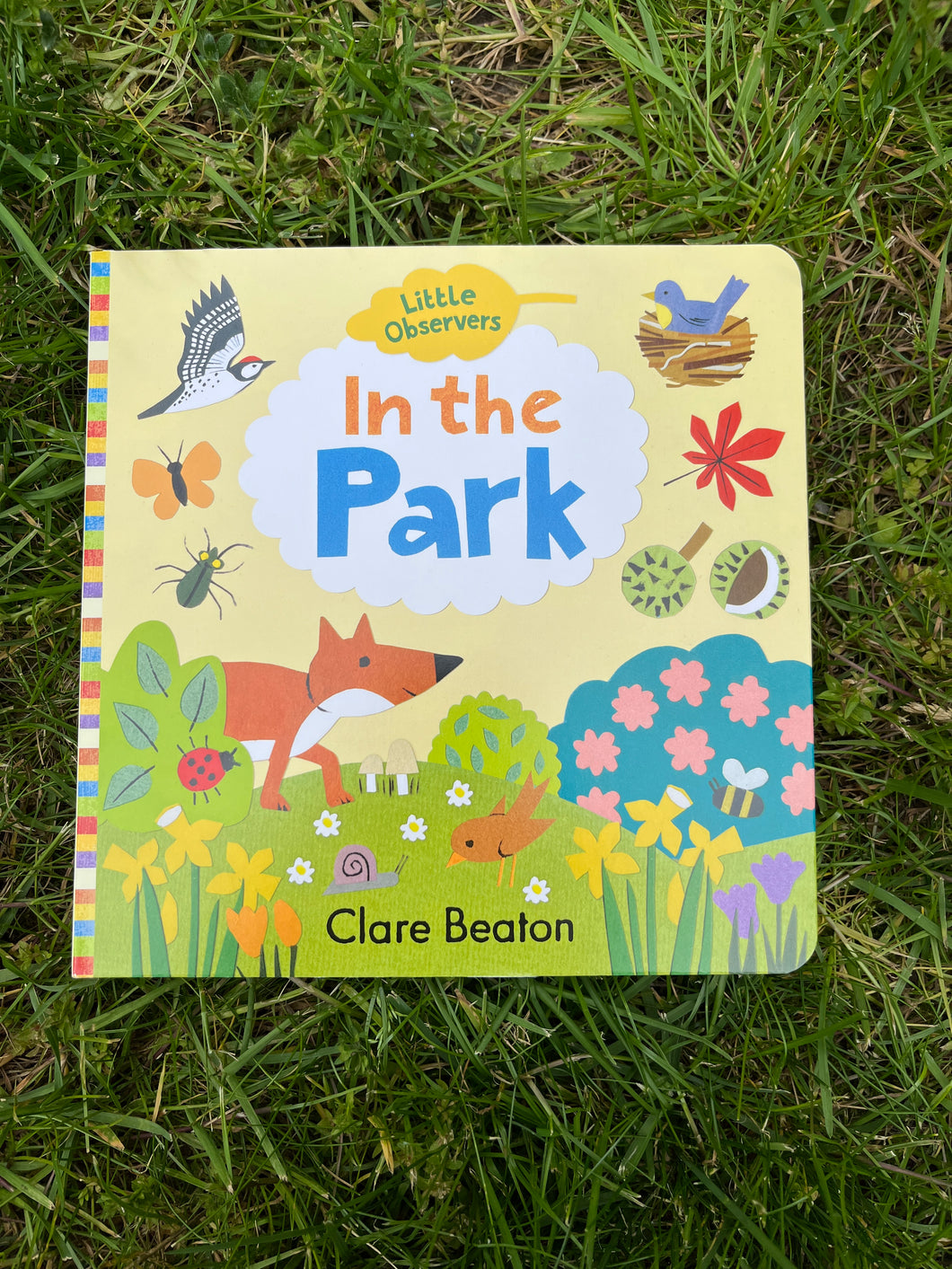 Little Observers in the Park by Clare Beaton