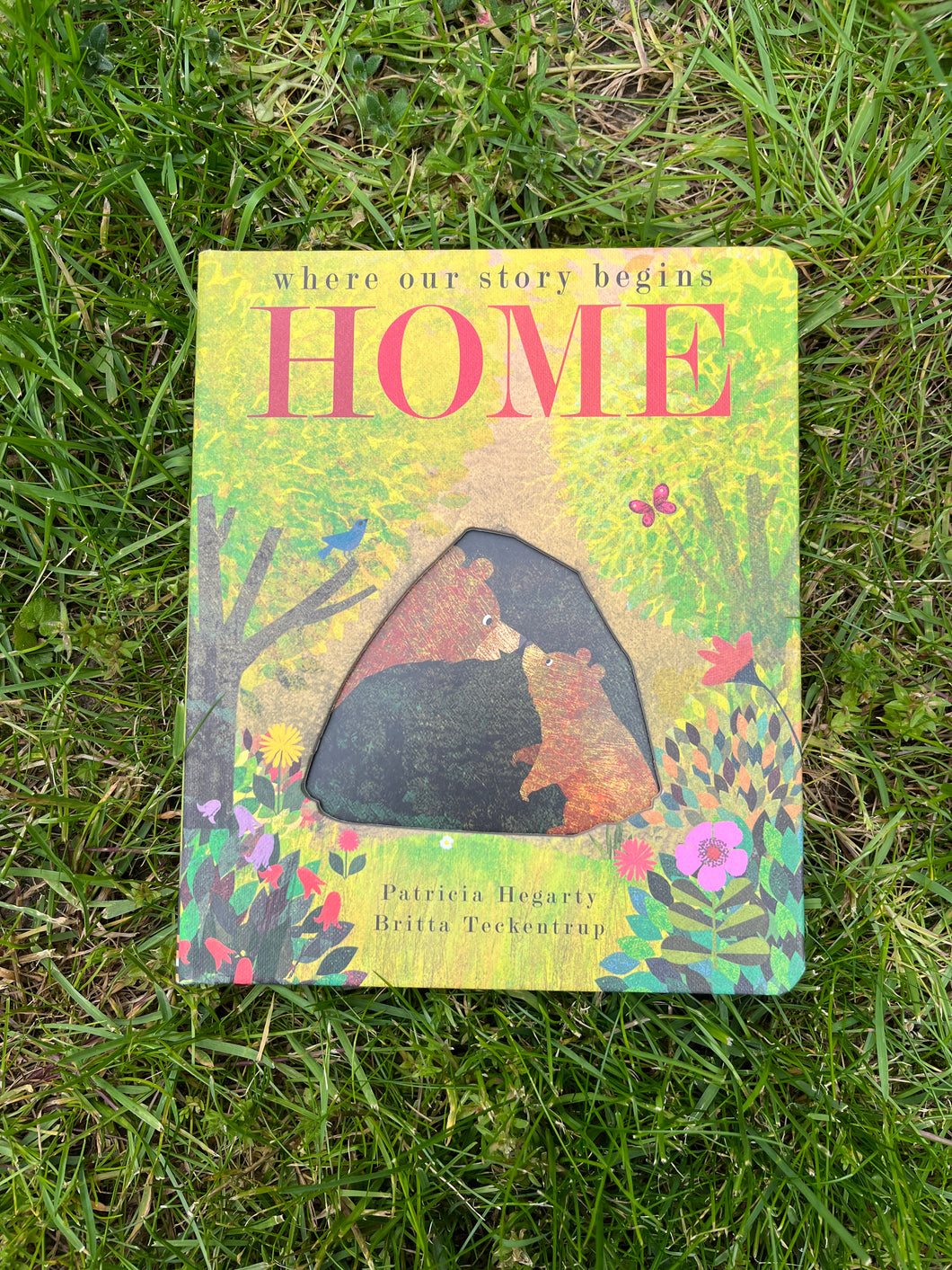 Home by Britta Teckentrup