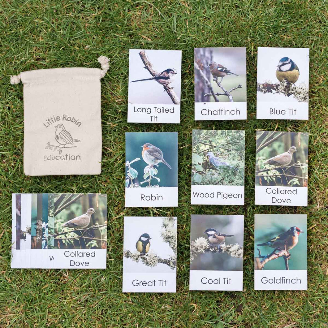 Garden Bird Flashcards