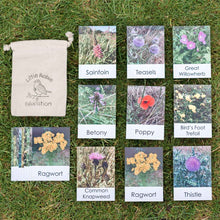 Load image into Gallery viewer, Wildflower Flashcards
