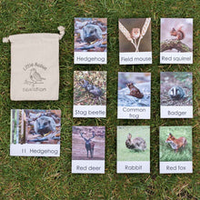 Load image into Gallery viewer, British Wildlife Flashcards
