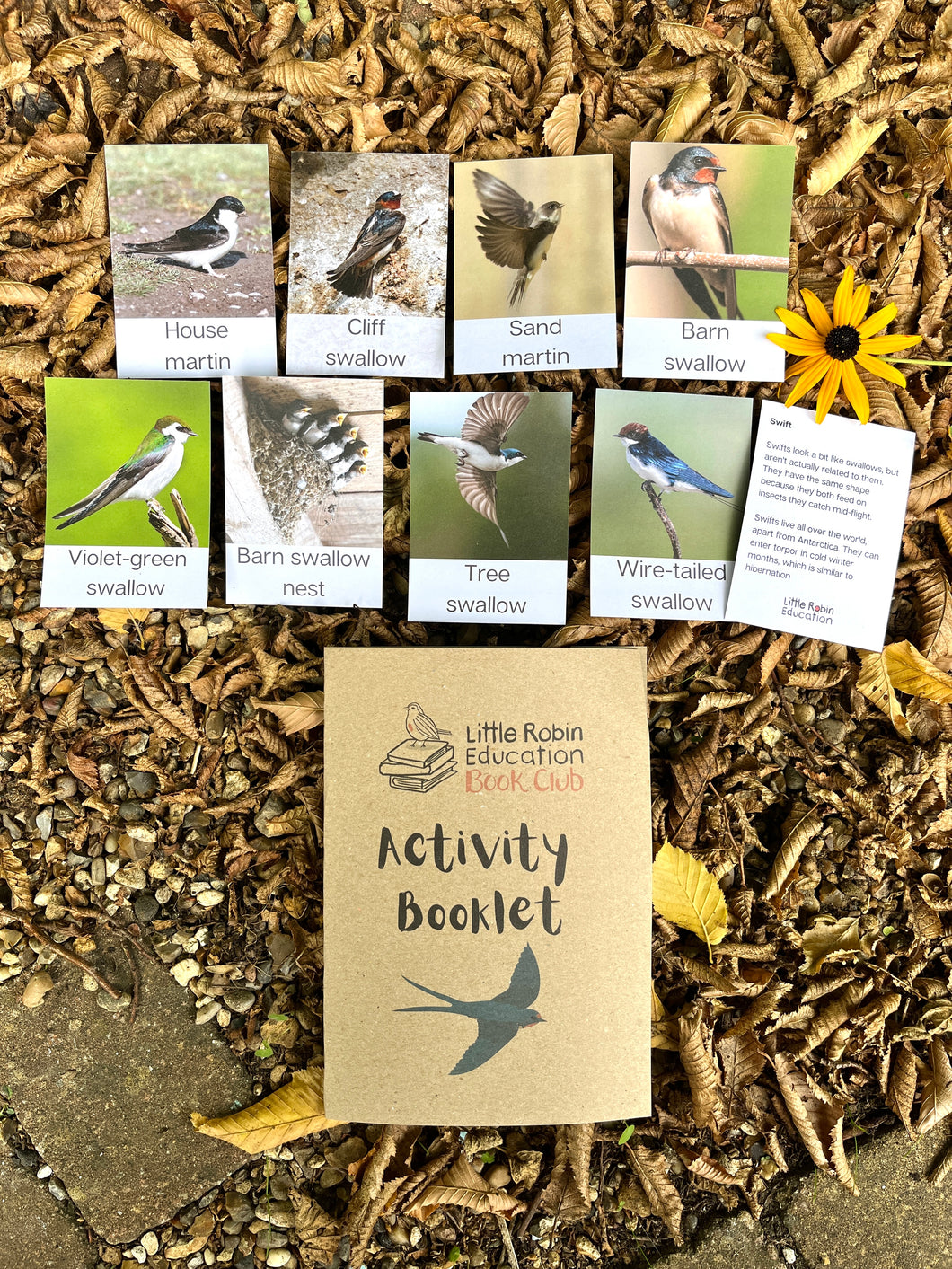 Age 3-7 Enzo, the Swallows and Me Activity Pack
