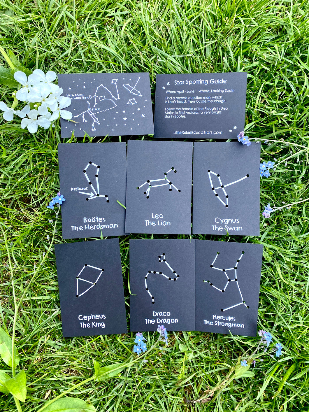Spring Constellation Cards