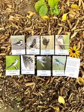 Load image into Gallery viewer, Age 3-7 Enzo, the Swallows and Me Activity Pack
