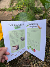 Load image into Gallery viewer, Under 3 Frog Songs, Signs and Sensory booklet
